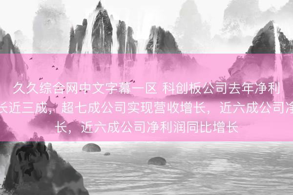 久久综合网中文字幕一区 科创板公司去年净利润预计同比增长近三成，超七成公司实现营收增长，近六成公司净利润同比增长
