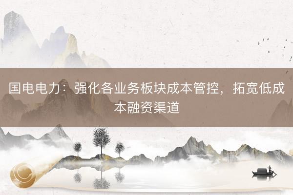 国电电力：强化各业务板块成本管控，拓宽低成本融资渠道