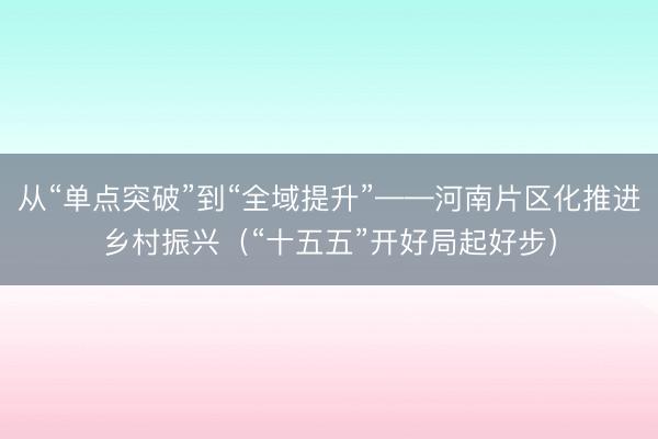 从“单点突破”到“全域提升”——河南片区化推进乡村振兴（“十五五”开好局起好步）