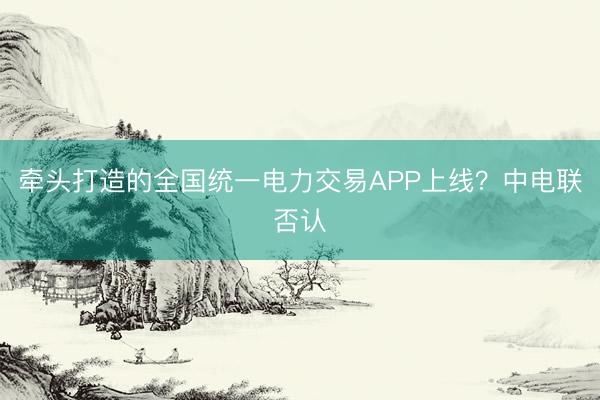 牵头打造的全国统一电力交易APP上线？中电联否认