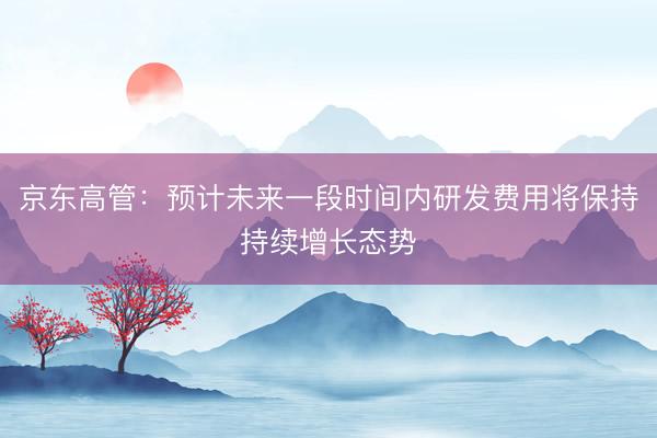 京东高管：预计未来一段时间内研发费用将保持持续增长态势