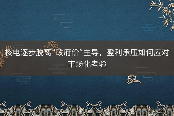 核电逐步脱离“政府价”主导，盈利承压如何应对市场化考验