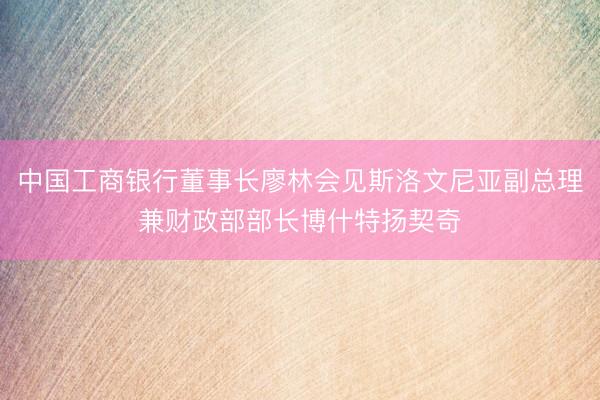 中国工商银行董事长廖林会见斯洛文尼亚副总理兼财政部部长博什特扬契奇
