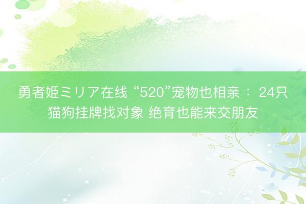 勇者姫ミリア在线 “520”宠物也相亲 ：24只猫狗挂牌找对象 绝育也能来交朋友