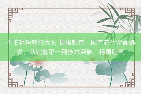 不怕粗短就怕大头 捷报频传！国产芯片全面爆发，从销量第一到技术突破，扬眉吐气