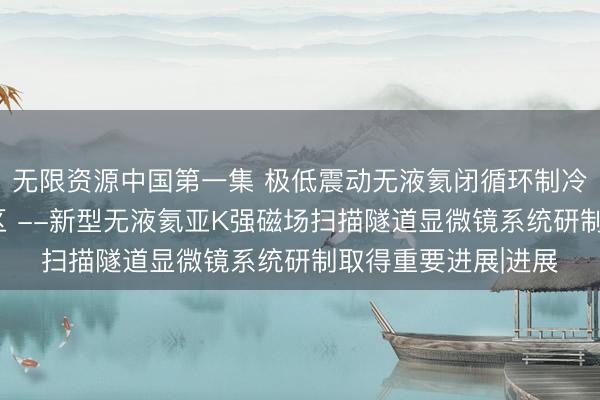 无限资源中国第一集 极低震动无液氦闭循环制冷技术推进到亚K温区 --新型无液氦亚K强磁场扫描隧道显微镜系统研制取得重要进展|进展