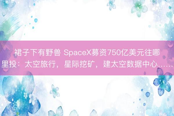 裙子下有野兽 SpaceX募资750亿美元往哪里投：太空旅行，星际挖矿，建太空数据中心……