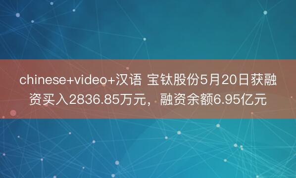 chinese+video+汉语 宝钛股份5月20日获融资买入2836.85万元，融资余额6.95亿元