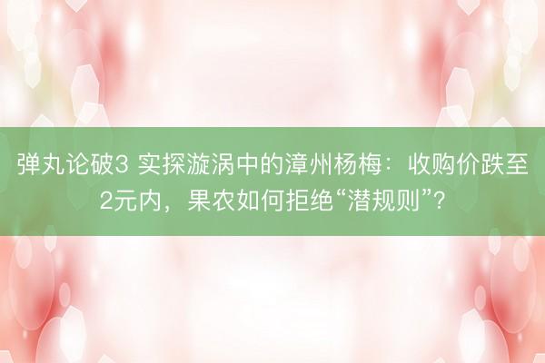 弹丸论破3 实探漩涡中的漳州杨梅：收购价跌至2元内，果农如何拒绝“潜规则”？