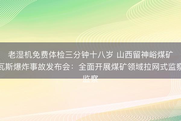 老湿机免费体检三分钟十八岁 山西留神峪煤矿瓦斯爆炸事故发布会：全面开展煤矿领域拉网式监察