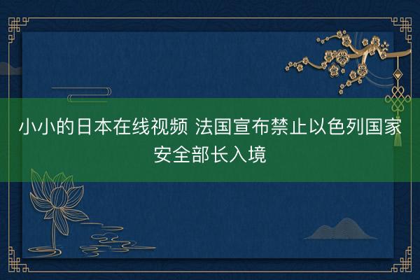 小小的日本在线视频 法国宣布禁止以色列国家安全部长入境