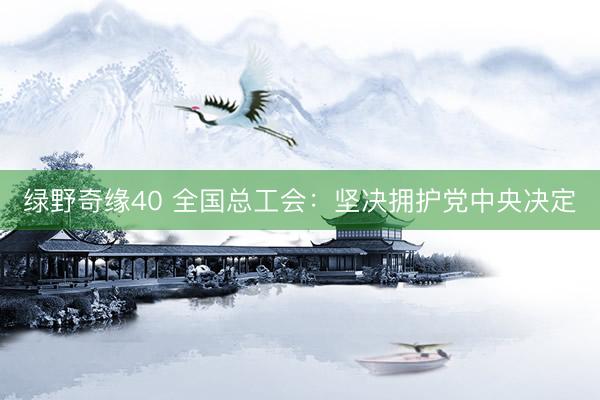 绿野奇缘40 全国总工会：坚决拥护党中央决定