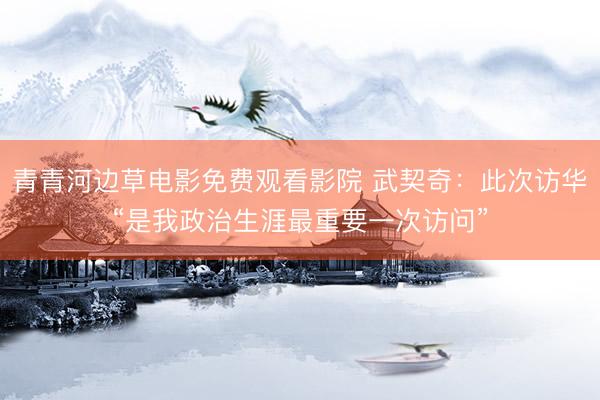 青青河边草电影免费观看影院 武契奇：此次访华“是我政治生涯最重要一次访问”