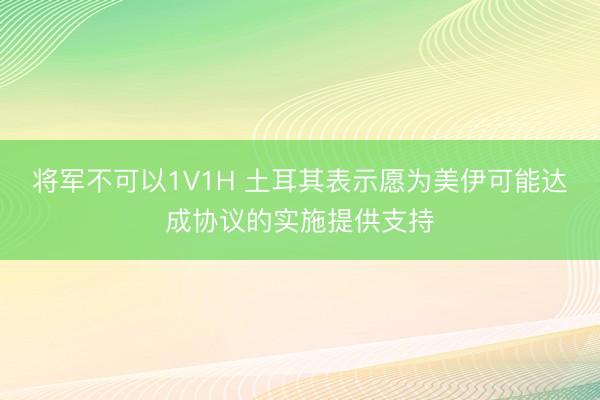 将军不可以1V1H 土耳其表示愿为美伊可能达成协议的实施提供支持