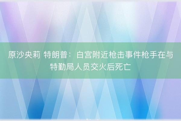 原沙央莉 特朗普：白宫附近枪击事件枪手在与特勤局人员交火后死亡