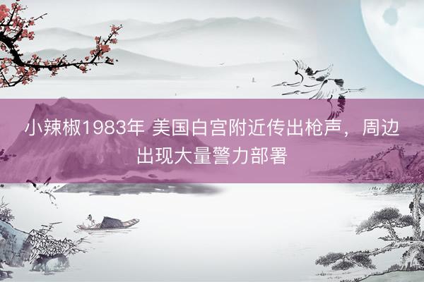 小辣椒1983年 美国白宫附近传出枪声,周边出现大量警力部署