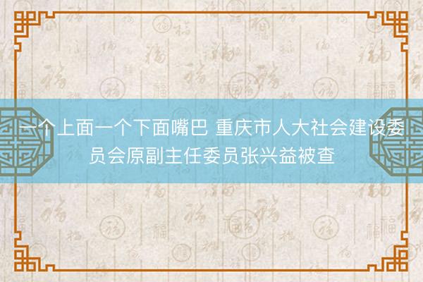 一个上面一个下面嘴巴 重庆市人大社会建设委员会原副主任委员张兴益被查