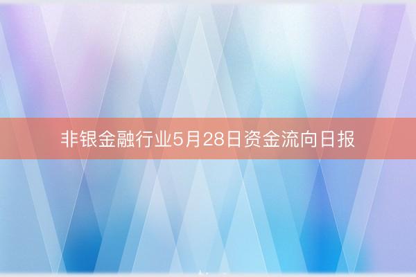 非银金融行业5月28日资金流向日报