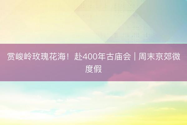 赏峻岭玫瑰花海！赴400年古庙会 | 周末京郊微度假