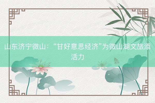 山东济宁微山：“甘好意思经济”为微山湖文旅添活力