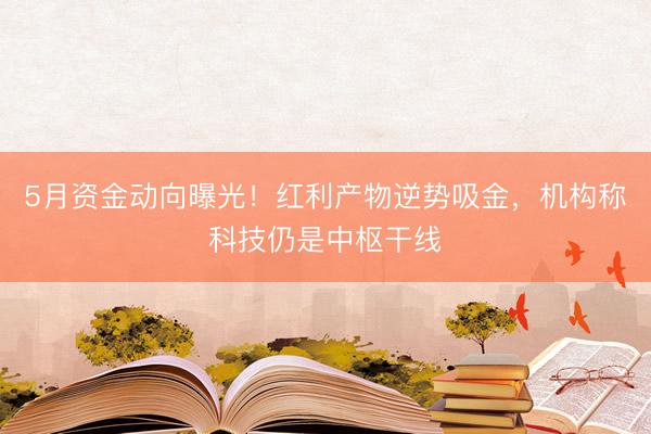 5月资金动向曝光！红利产物逆势吸金，机构称科技仍是中枢干线
