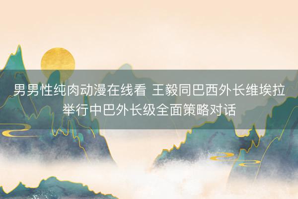 男男性纯肉动漫在线看 王毅同巴西外长维埃拉举行中巴外长级全面策略对话
