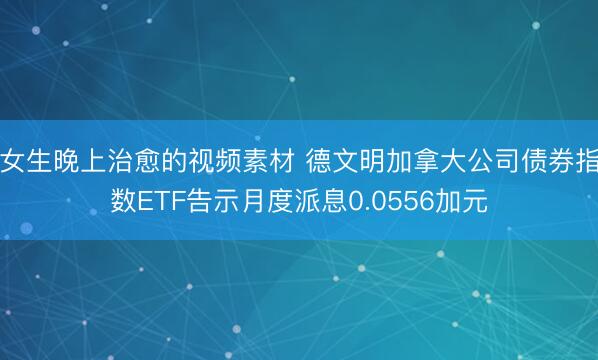 女生晚上治愈的视频素材 德文明加拿大公司债券指数ETF告示月度派息0.0556加元