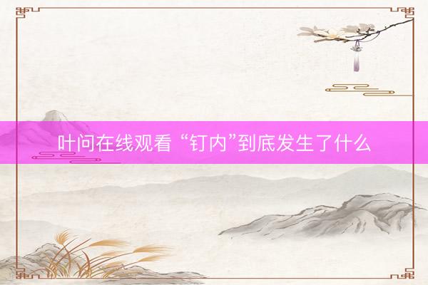 叶问在线观看 “钉内”到底发生了什么