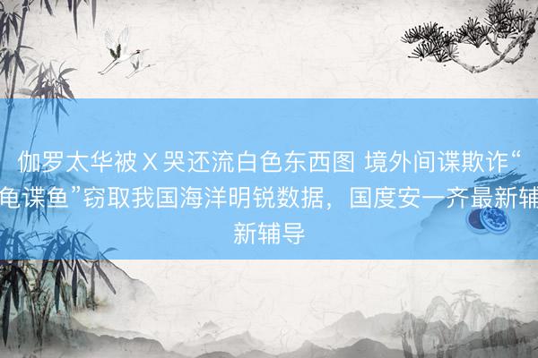 伽罗太华被Ⅹ哭还流白色东西图 境外间谍欺诈“谍龟谍鱼”窃取我国海洋明锐数据，国度安一齐最新辅导
