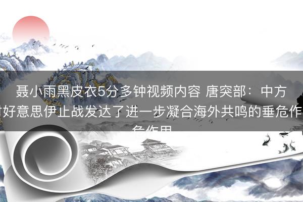 聂小雨黑皮衣5分多钟视频内容 唐突部：中方对好意思伊止战发达了进一步凝合海外共鸣的垂危作用
